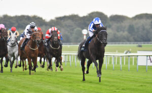 DSC 0331 Fondo Blanco