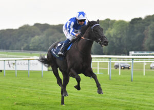 DSC 0335 Fondo Blanco