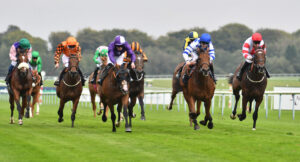 DSC 0416 Land Of Liberty