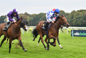 DSC 0425 Land Of Liberty