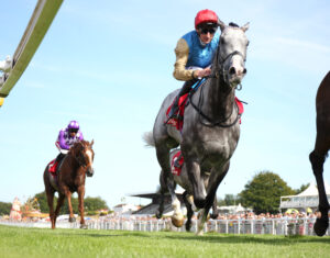 EN4D4500 Make Me King