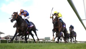 EN4D5102 Scandinavia