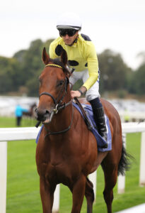 FU0E3278 Rock Of Thunder