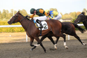 FU0E4049 Radient Beauty