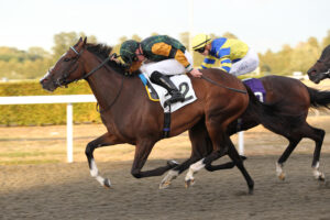 FU0E4050 Radient Beauty