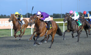 FU0E4421 Monarch’s Gold