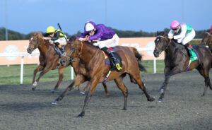 FU0E4422 Monarch’s Gold