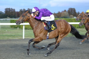 FU0E4429 Monarch’s Gold