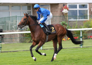 FU0E4498 Commanding Officer