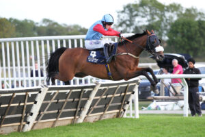 FU0E5009 Belles Benefit