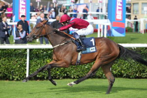 FU0E5119 Half Sovereign