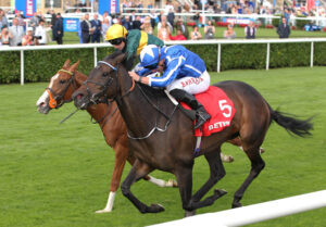 FU0E5310 Santorini Star