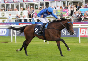 FU0E5336 Devil’s Advocate