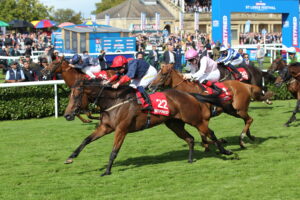 FU0E5825 Eternal Sunshine