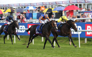 FU0E6028 Scandinavia