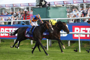 FU0E6033 Scandinavia