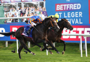 FU0E6036 Scandinavia