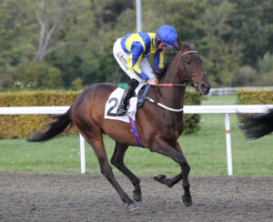 FU0E6091 I’d Go Maniac