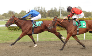 FU0E6141 Port Of London