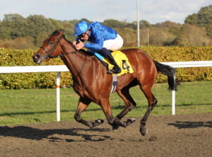 FU0E6223 Dancing Flower