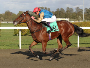 FU0E6228 Star Mirage