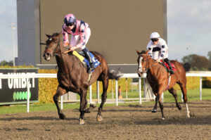 FU0E6250 Midnight Rodeo