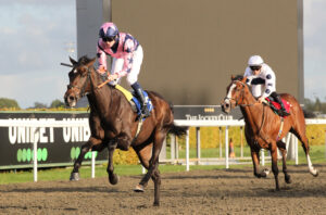 FU0E6251 Midnight Rodeo