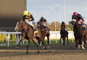 FU0E6281 Falmouth Lad