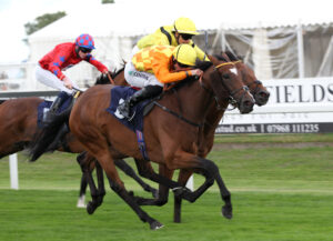 FU0E6493 Clermont Ferrand