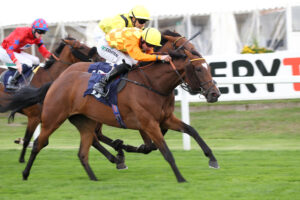 FU0E6494 Clermont Ferrand