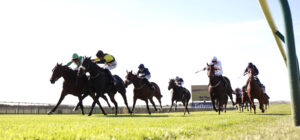 X5B6770 Arabian Leopard