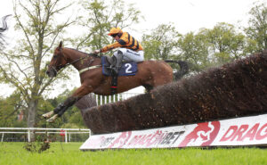 X5B7102 Kingoftheswingerz