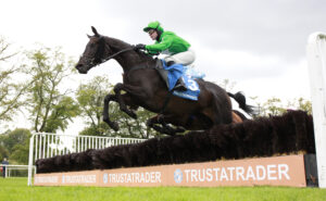 X5B7195 Don Virginia