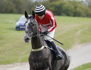 20J0058 Big Jim Silver