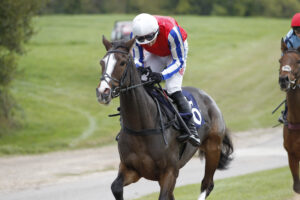 20J0069 Theonewedreamof