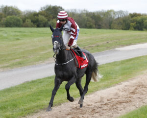 20J0229 Sticktotheplan