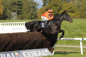 20J0240 Coco Mademoiselle