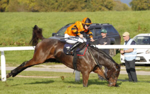 20J0258 Art Of Diplomacy