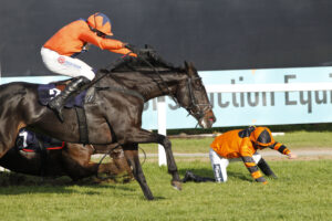 20J0268 Coco Mademoiselle