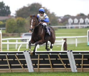 20J0517 Windsor Blue