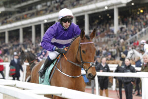 20J0577 Jasko Des Dames