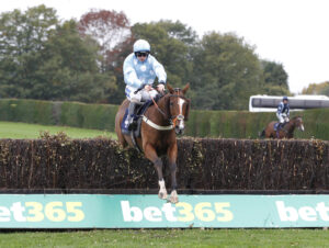 20J0665 Designer Destiny