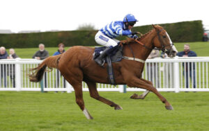 20J0756 Donnie Azoff