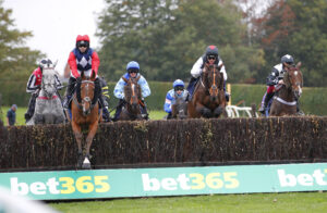 20J0812 Anytrixwilldo