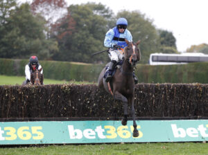 20J0854 Shesupincourt