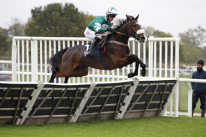 20J1145 Absolutely Doyen