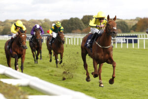 20J1734 Golden Story