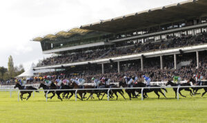 20J2225 Cheltenham Stands