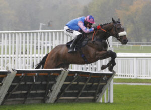 20J3946 Home Made Hero