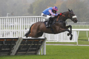 20J3947 Home Made Hero